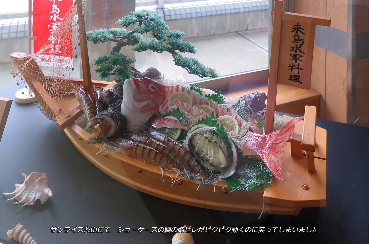 f:id:hoshikubi:20210123051824j:plain