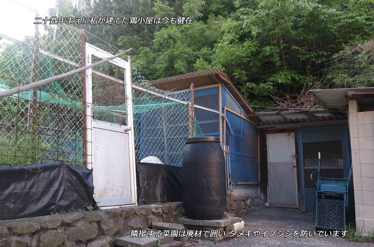 f:id:hoshikubi:20210507030123j:plain