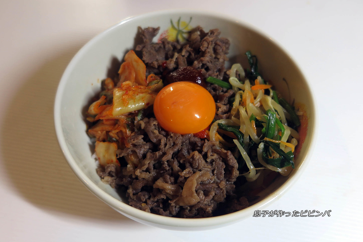 f:id:hoshikubi:20210509035420j:plain