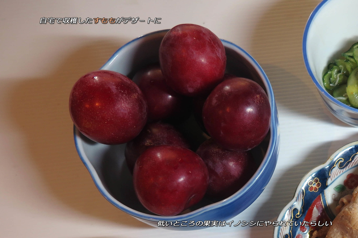 f:id:hoshikubi:20210621054924j:plain
