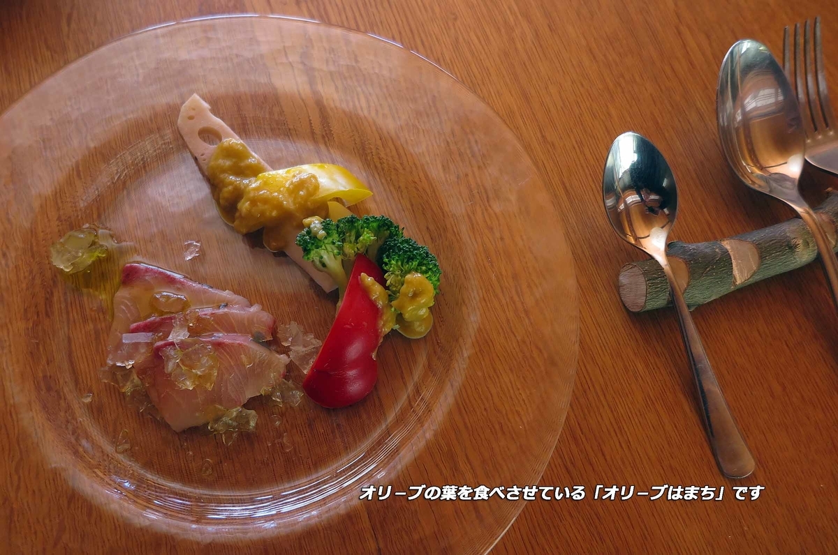 f:id:hoshikubi:20211202045202j:plain