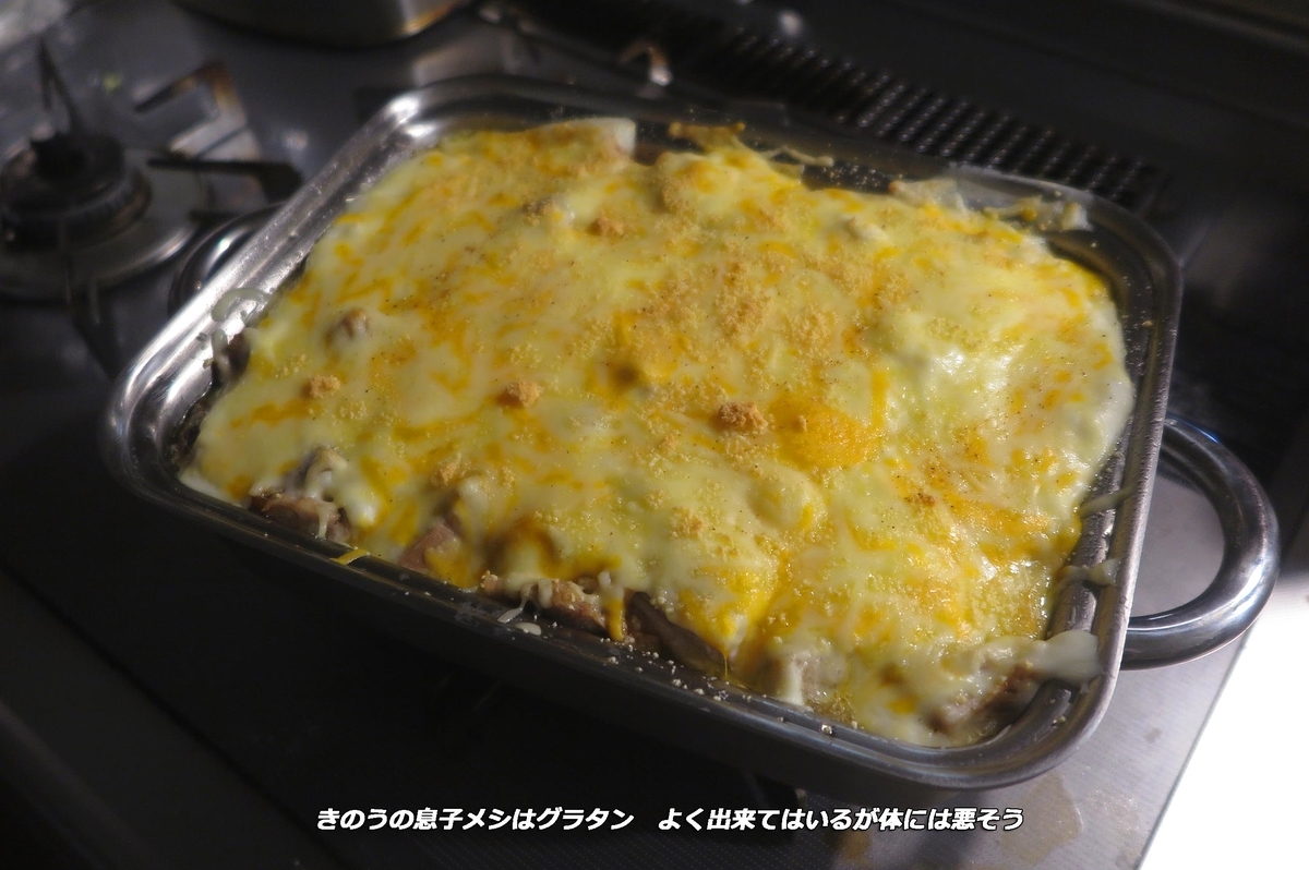 f:id:hoshikubi:20211205061522j:plain