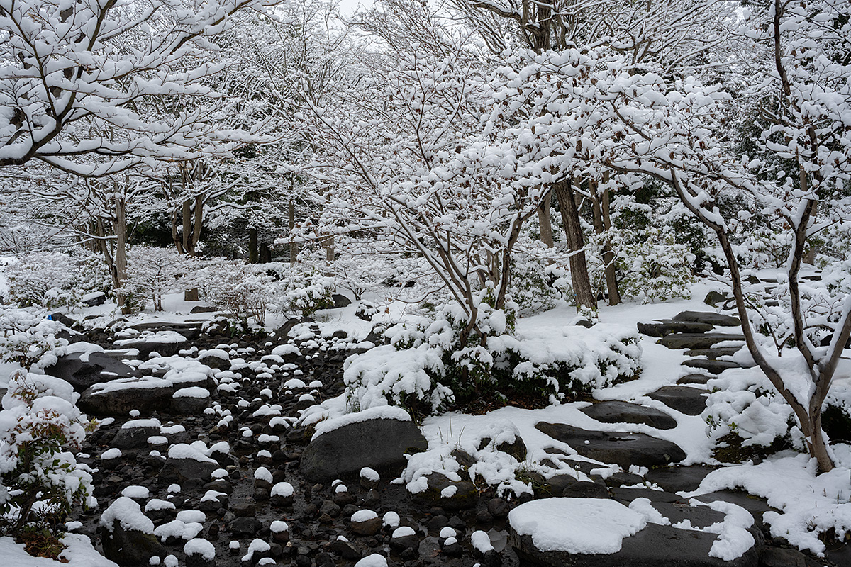 雪の日