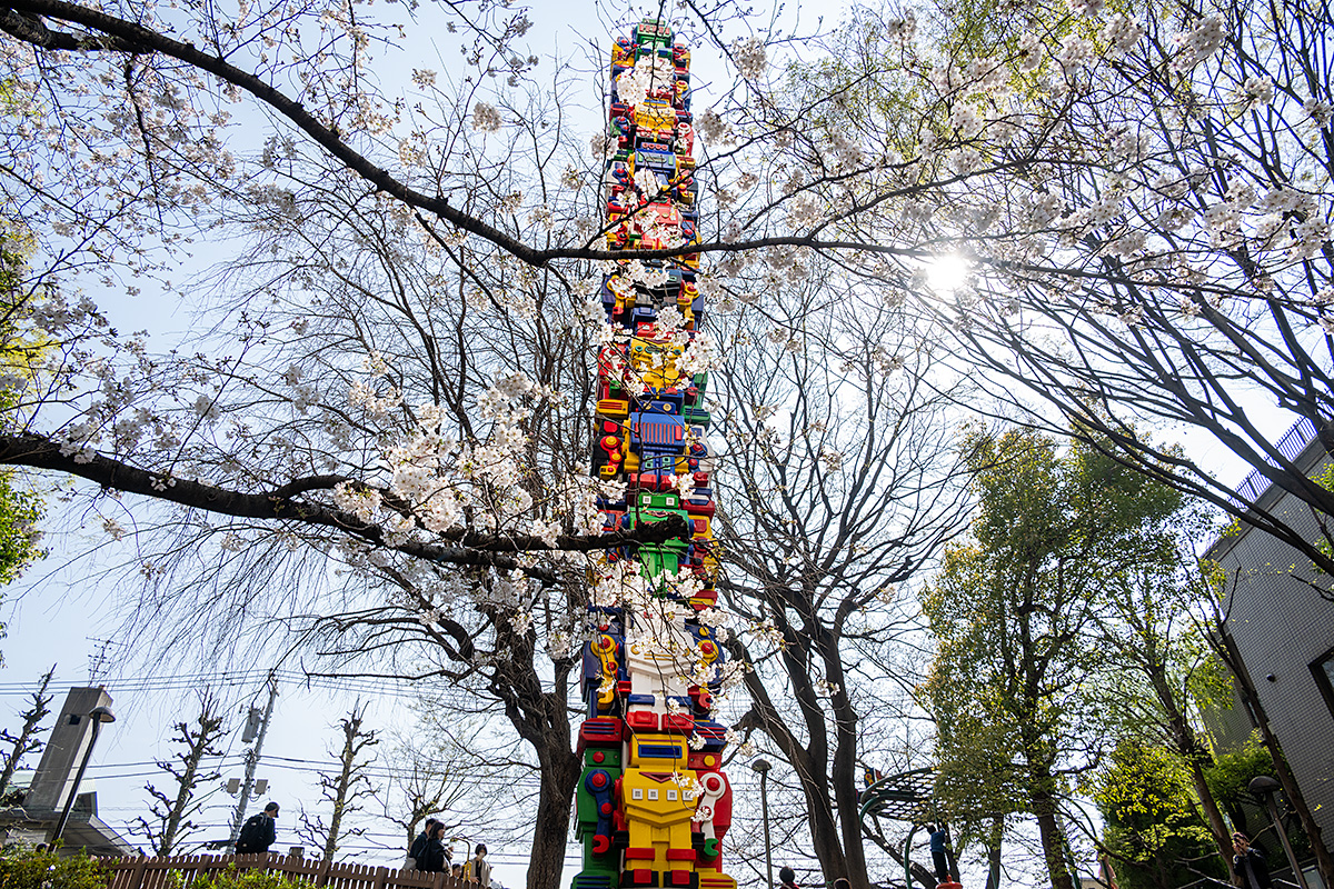六本木ヒルズ・さくら坂の桜