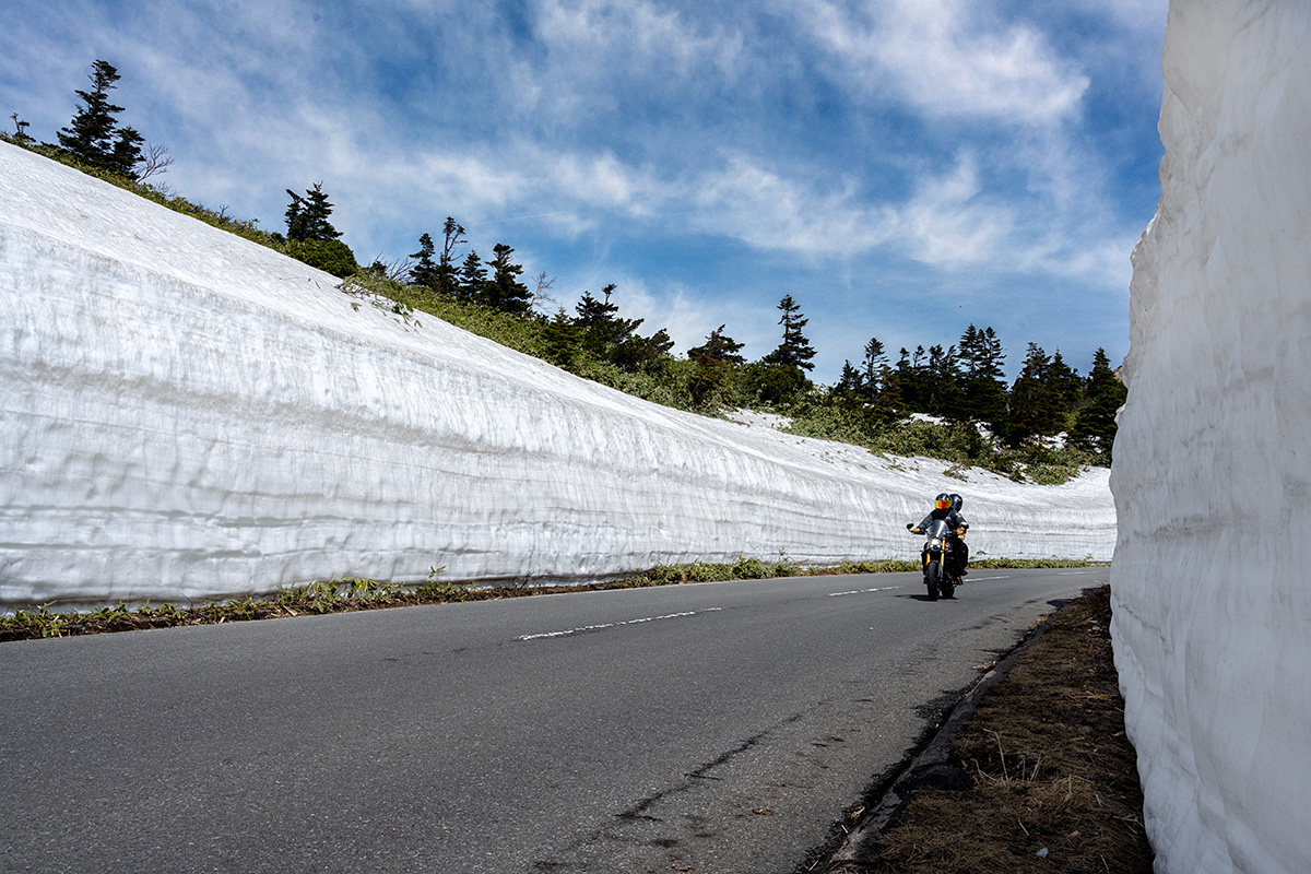 志賀草津高原ルート 雪の回廊