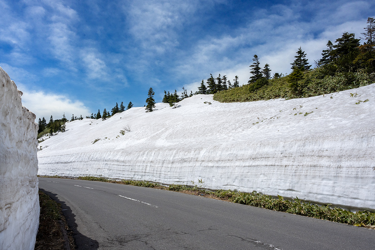 志賀草津高原ルート 雪の回廊