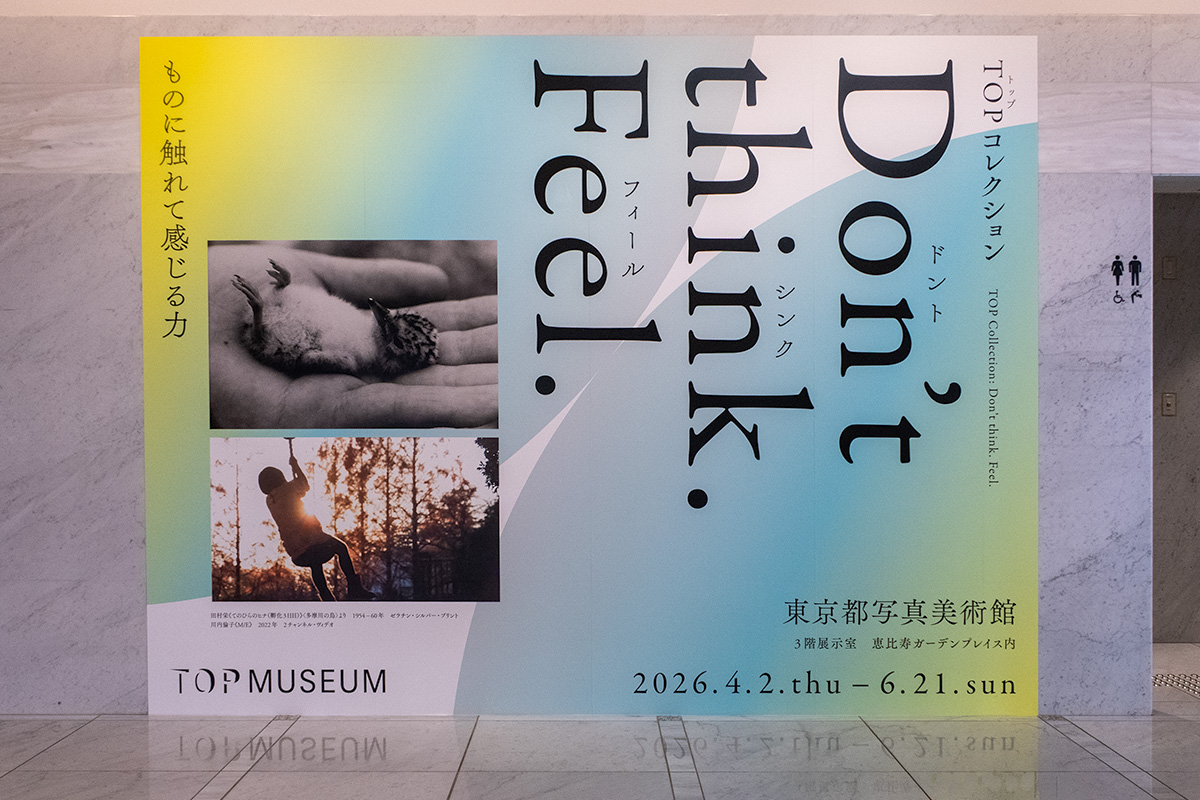 東京都写真美術館　TOPコレクション Don't think. Feel.