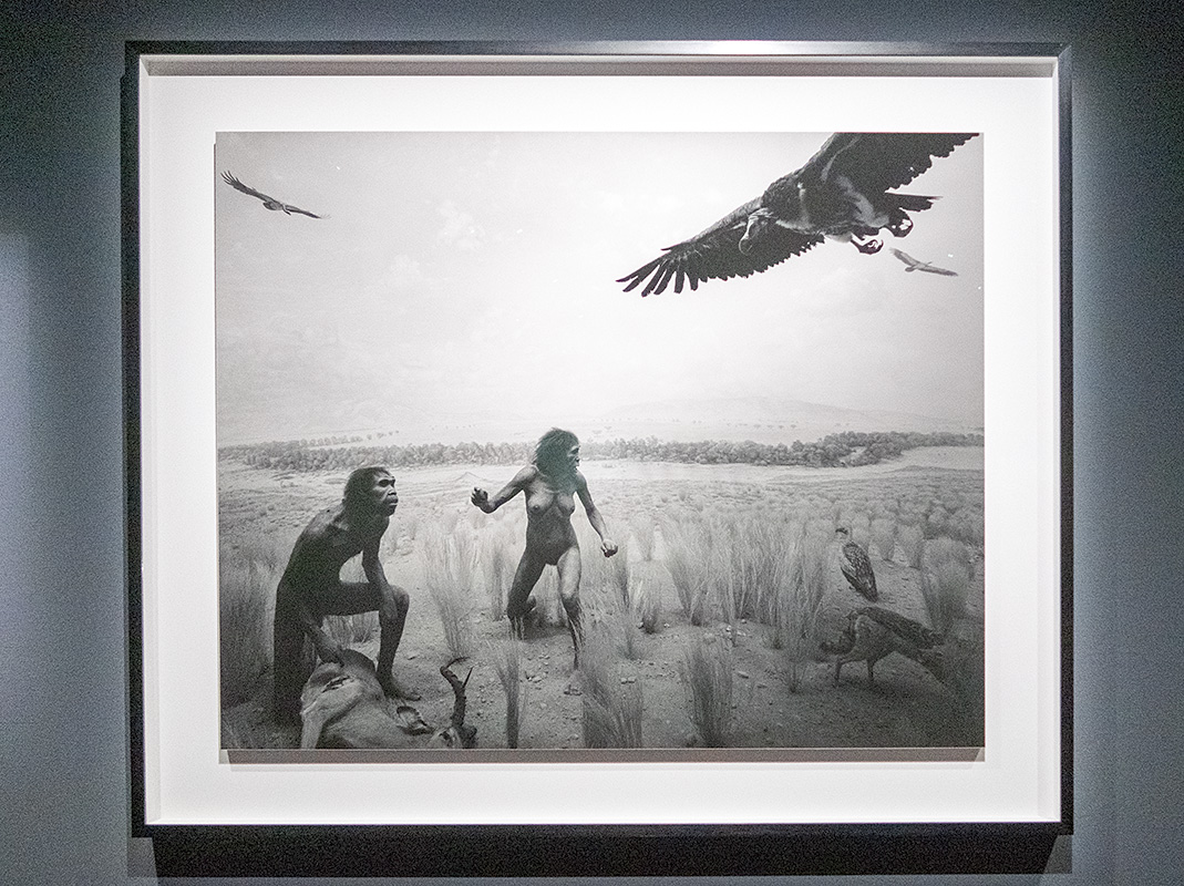杉本博司 絶滅写真　東京国立近代美術館