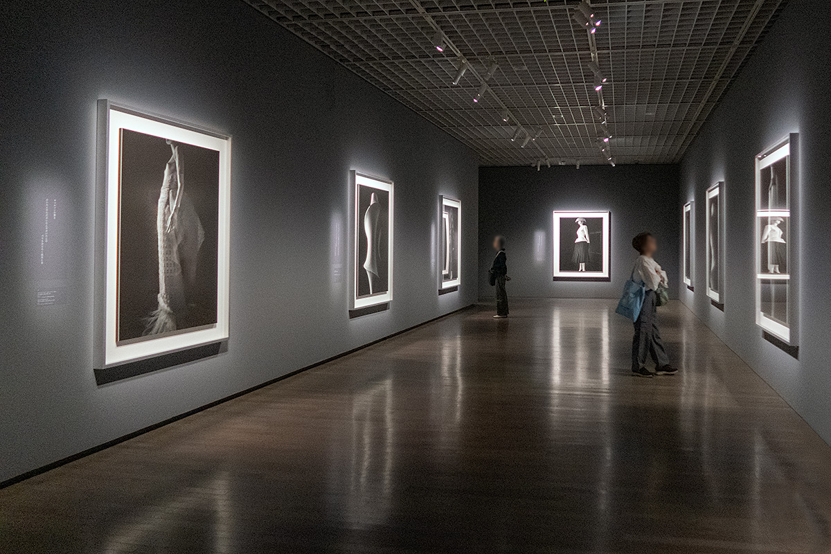 杉本博司 絶滅写真 東京国立近代美術館