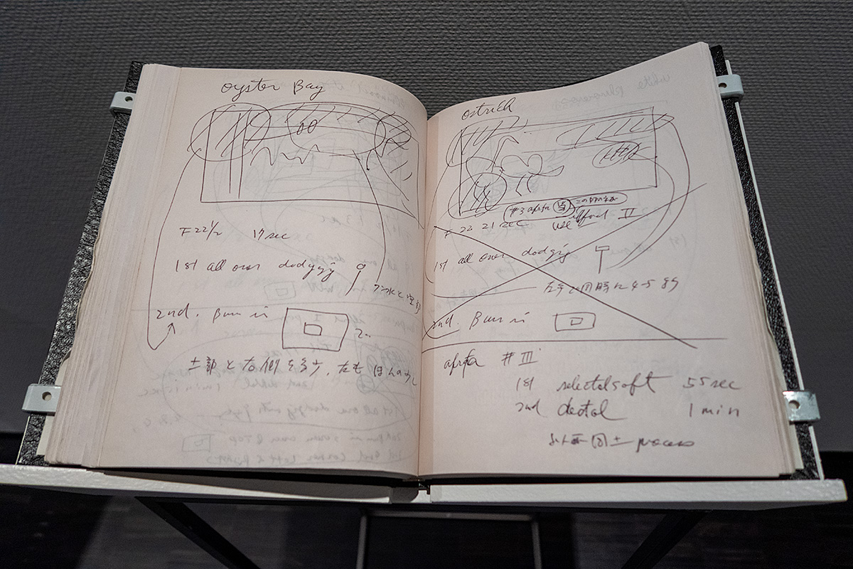 杉本博司　絶滅写真　東京国立近代美術館