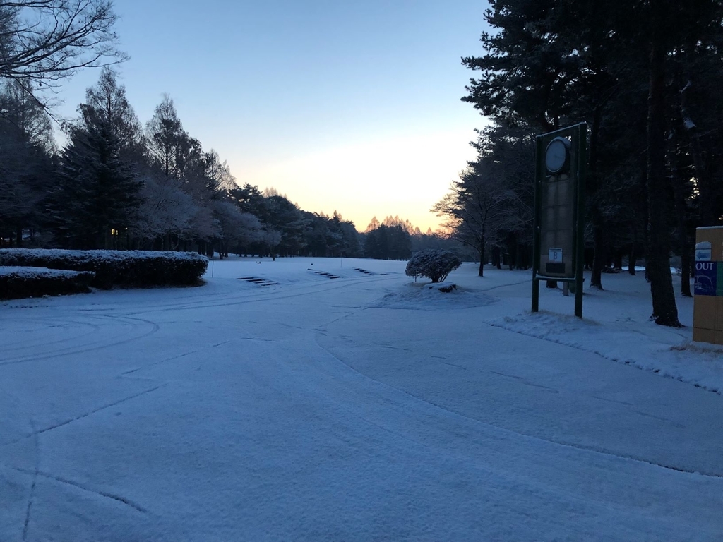 f:id:hoshinomiyacc:20190210065904j:plain