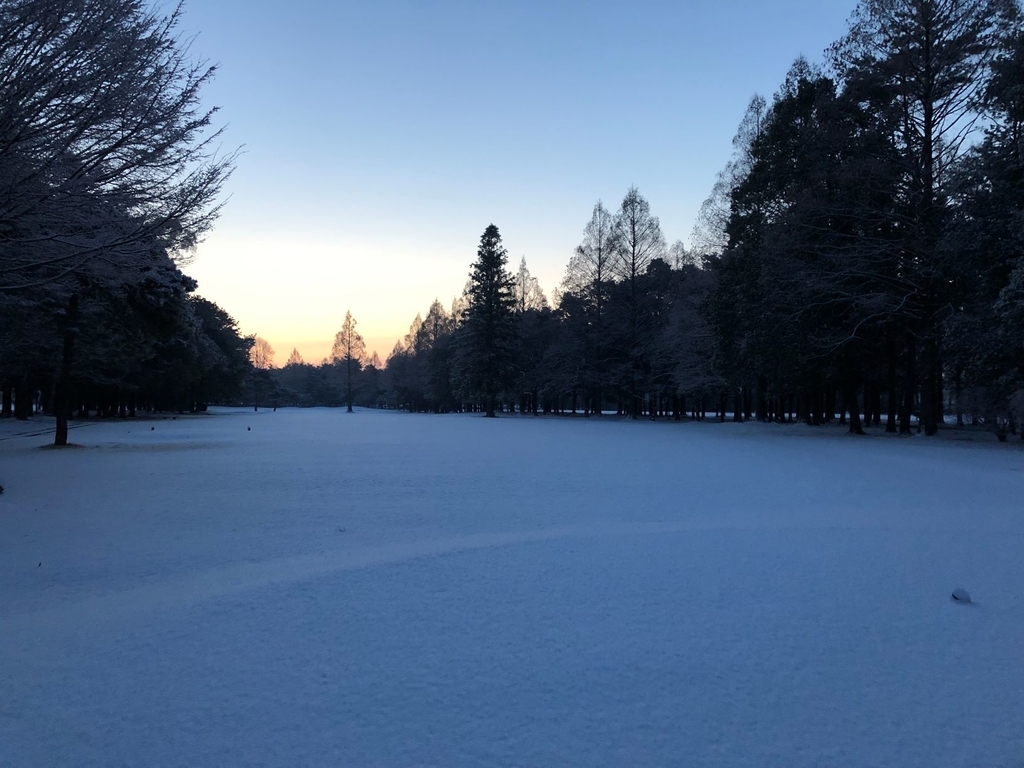 f:id:hoshinomiyacc:20190210070448j:plain