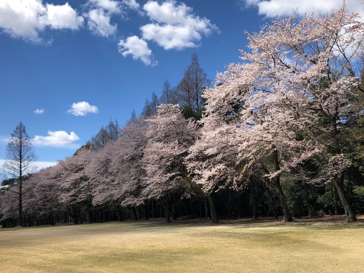 f:id:hoshinomiyacc:20190416114814j:plain f:id:hoshinomiyacc:20190416114814j:plain