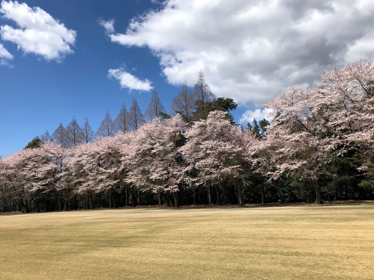 f:id:hoshinomiyacc:20190416114836j:plain f:id:hoshinomiyacc:20190416114836j:plain