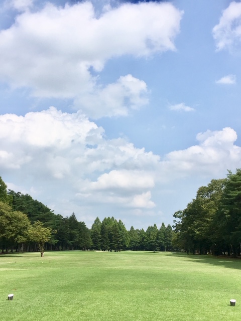 f:id:hoshinomiyacc:20190828114906j:plain