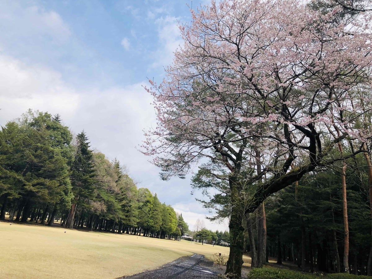 f:id:hoshinomiyacc:20220403124738j:plain