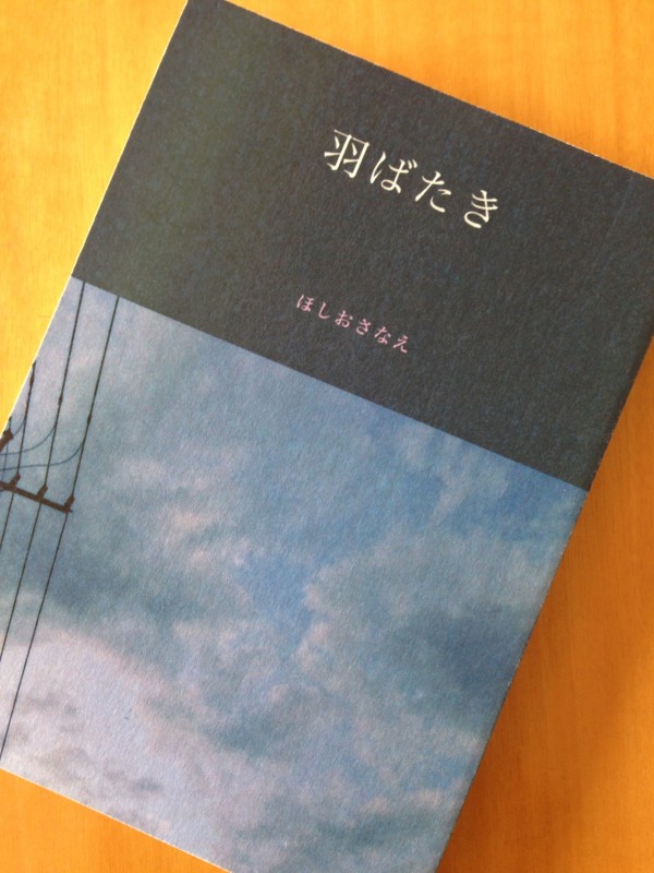 f:id:hoshio:20141109110845j:image f:id:hoshio:20141109110845j:image