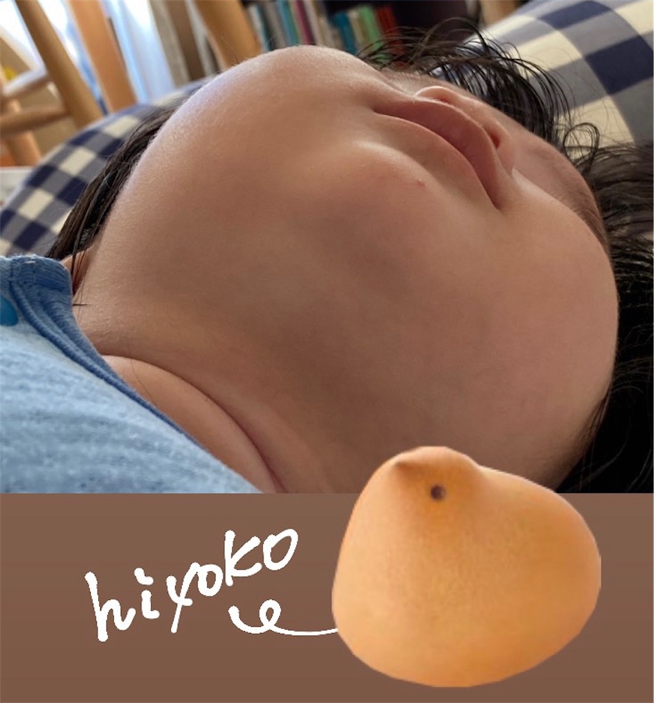 f:id:hoshisarami:20240115213409j:image f:id:hoshisarami:20240115213409j:image