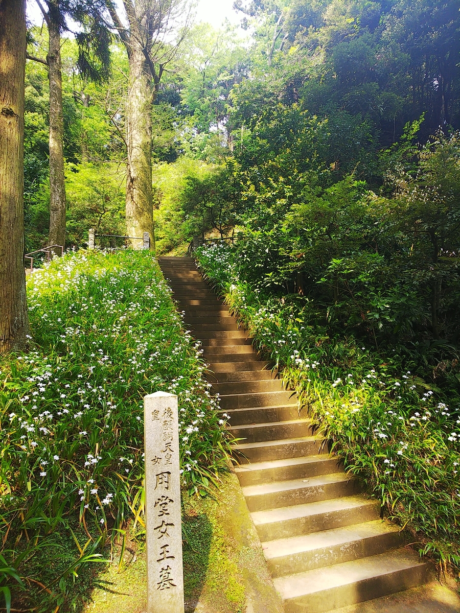 f:id:hoshitotsuki:20190516210633j:plain