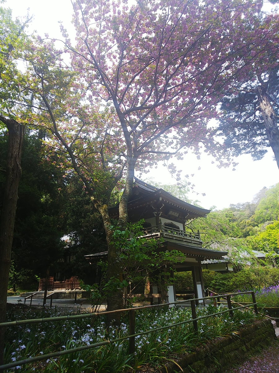 f:id:hoshitotsuki:20190516210828j:plain