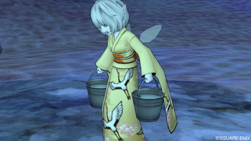 f:id:hoshizukuyo:20170111083330j:plain