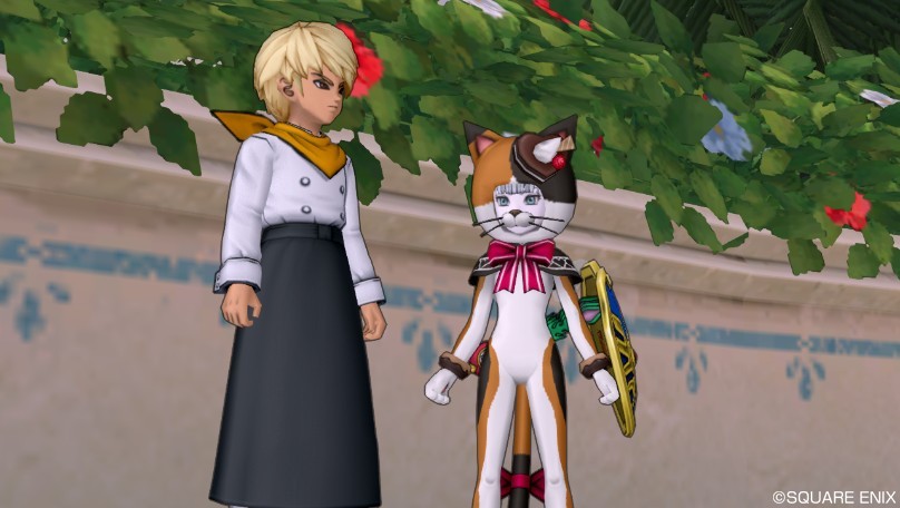 f:id:hoshizukuyo:20170131194649j:plain