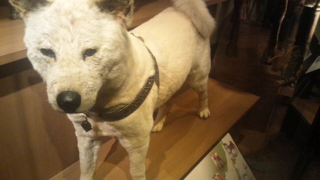 f:id:hoshizukuyo:20171115021040j:plain