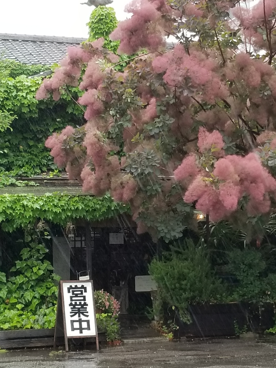 f:id:hoshizukuyo:20190521130229j:plain