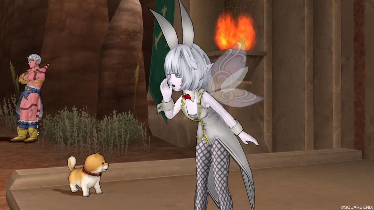 偶数hp調整用のhp準理論値アクセを二種類作りました ほしづくよのドラゴンクエストx日記