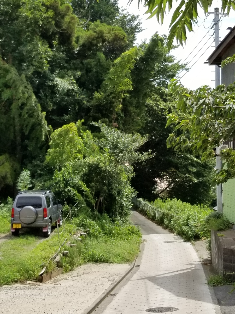 f:id:hoshizukuyo:20190830065053j:plain