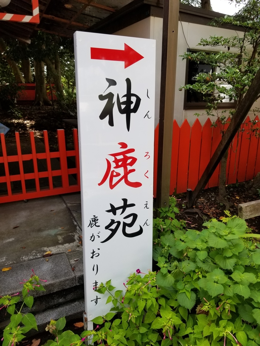 f:id:hoshizukuyo:20190830070131j:plain