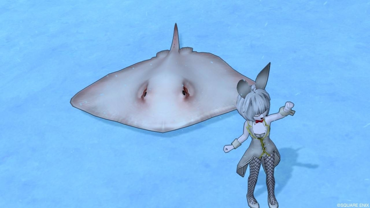 f:id:hoshizukuyo:20190927112704j:plain f:id:hoshizukuyo:20190927112704j:plain