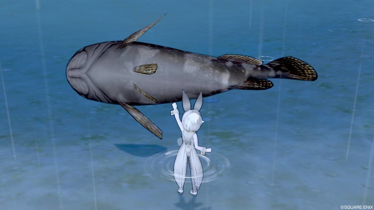 クエスト 人食い怪魚を釣りあげろ をクリアし 釣りレベルを50まで解放しました ほしづくよのドラゴンクエストx日記