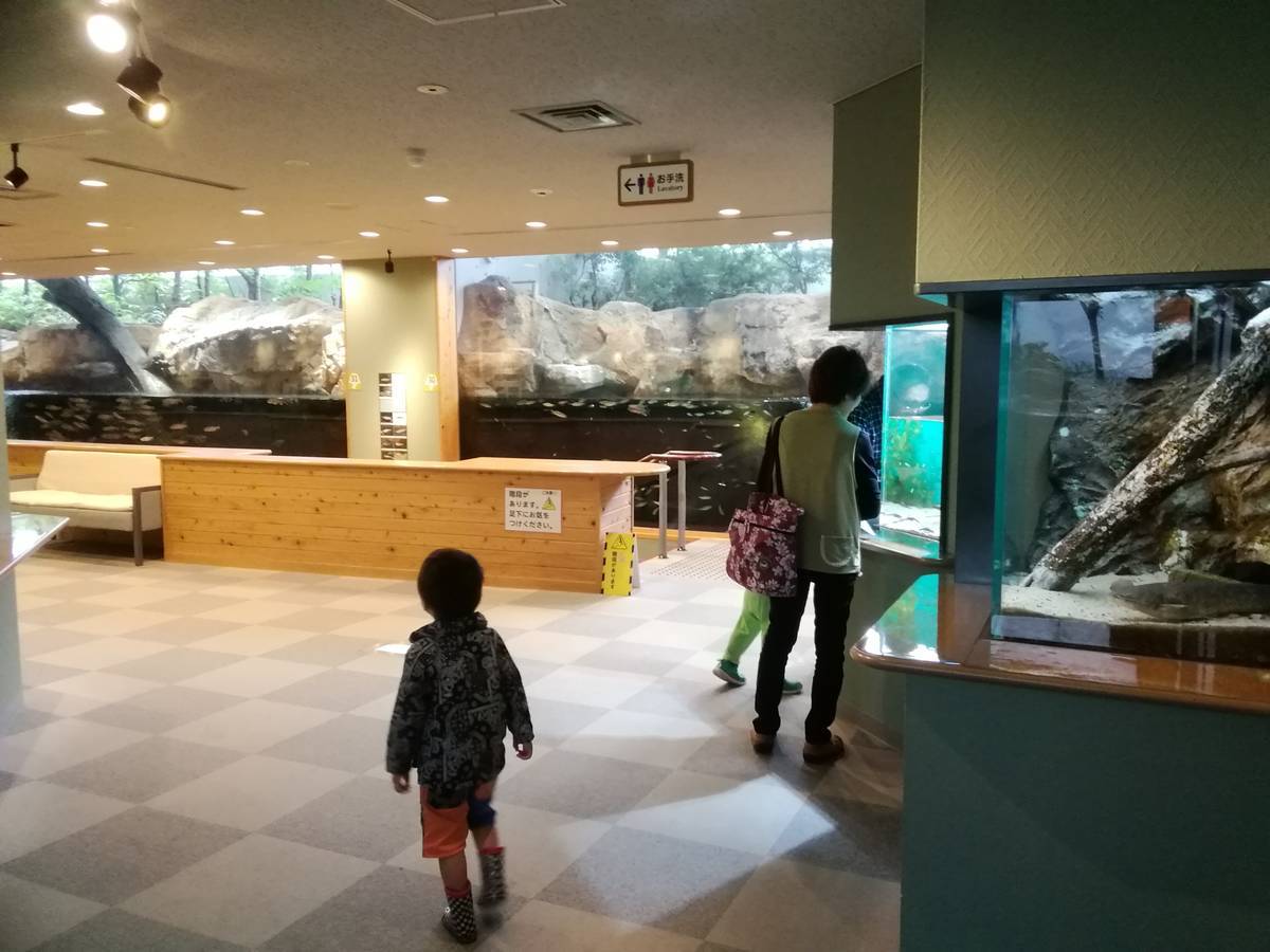 f:id:hoso-11-bishamonten:20190618160104j:plain