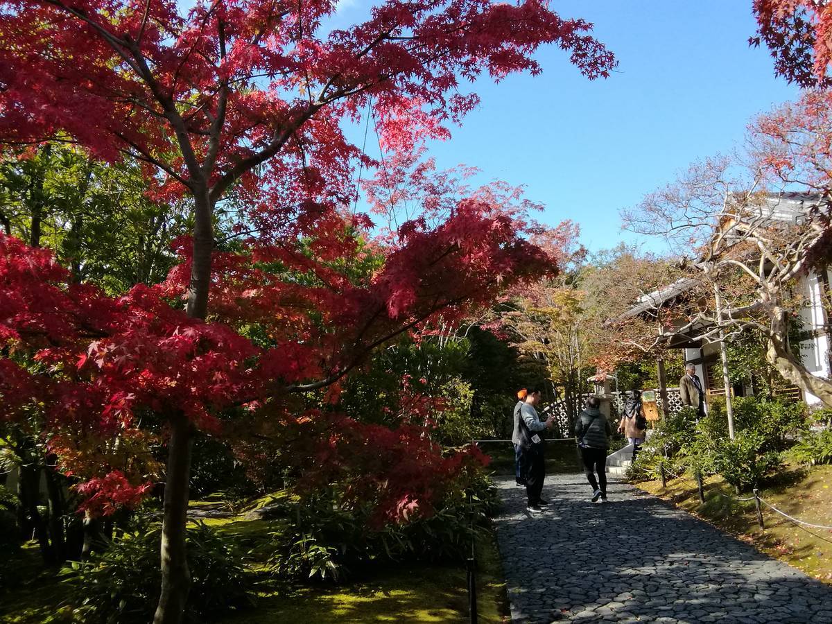 f:id:hoso-11-bishamonten:20191115100256j:plain