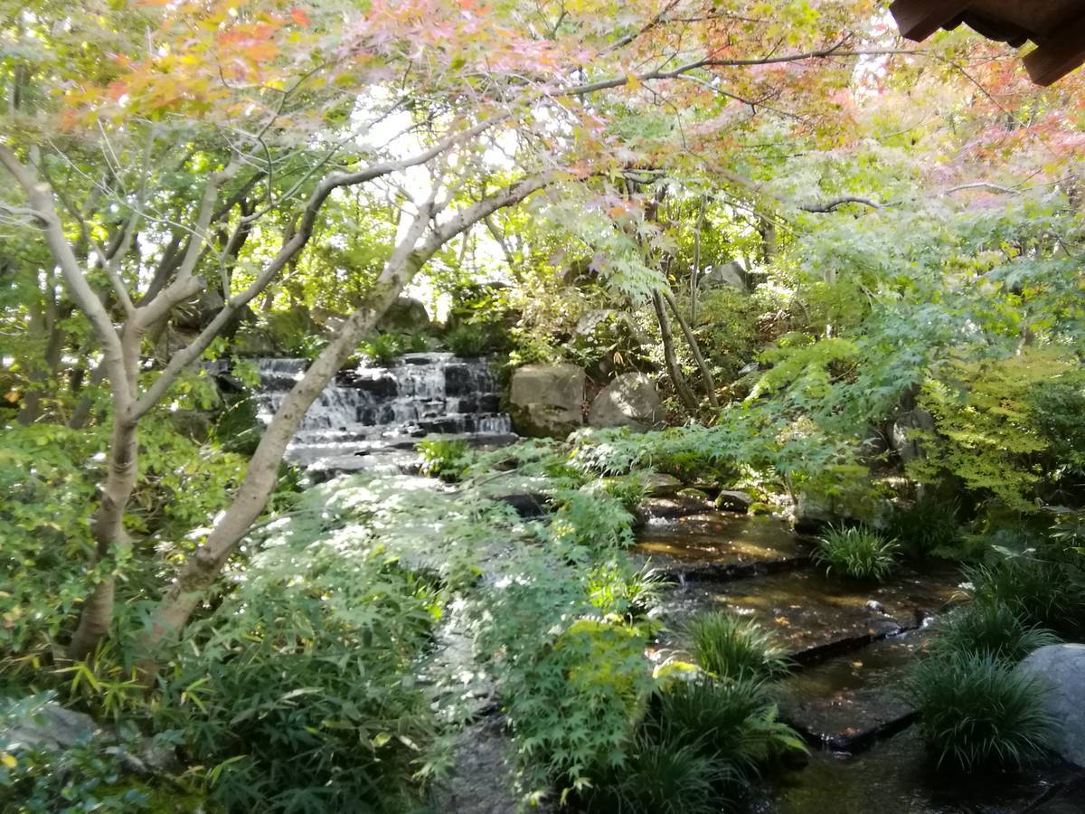 f:id:hoso-11-bishamonten:20191115100605j:plain