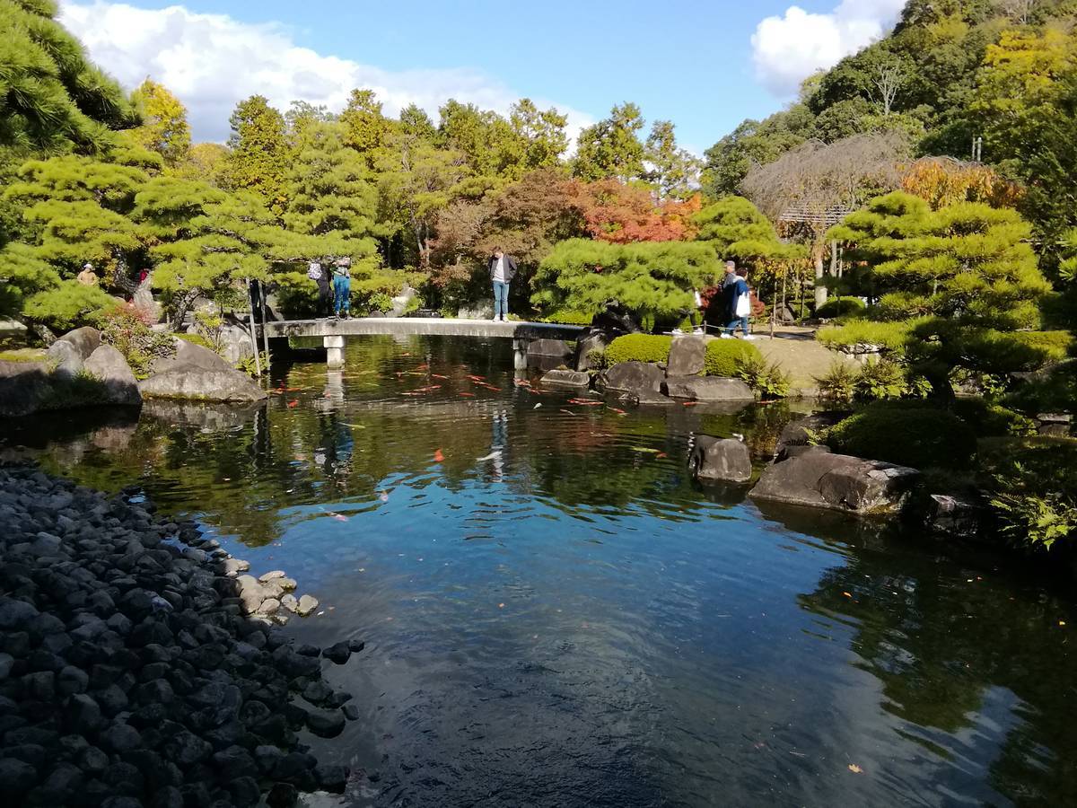 f:id:hoso-11-bishamonten:20191115101504j:plain
