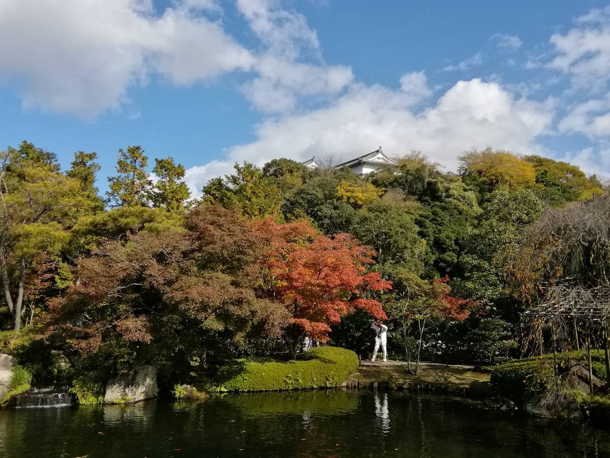 f:id:hoso-11-bishamonten:20191115101724j:plain
