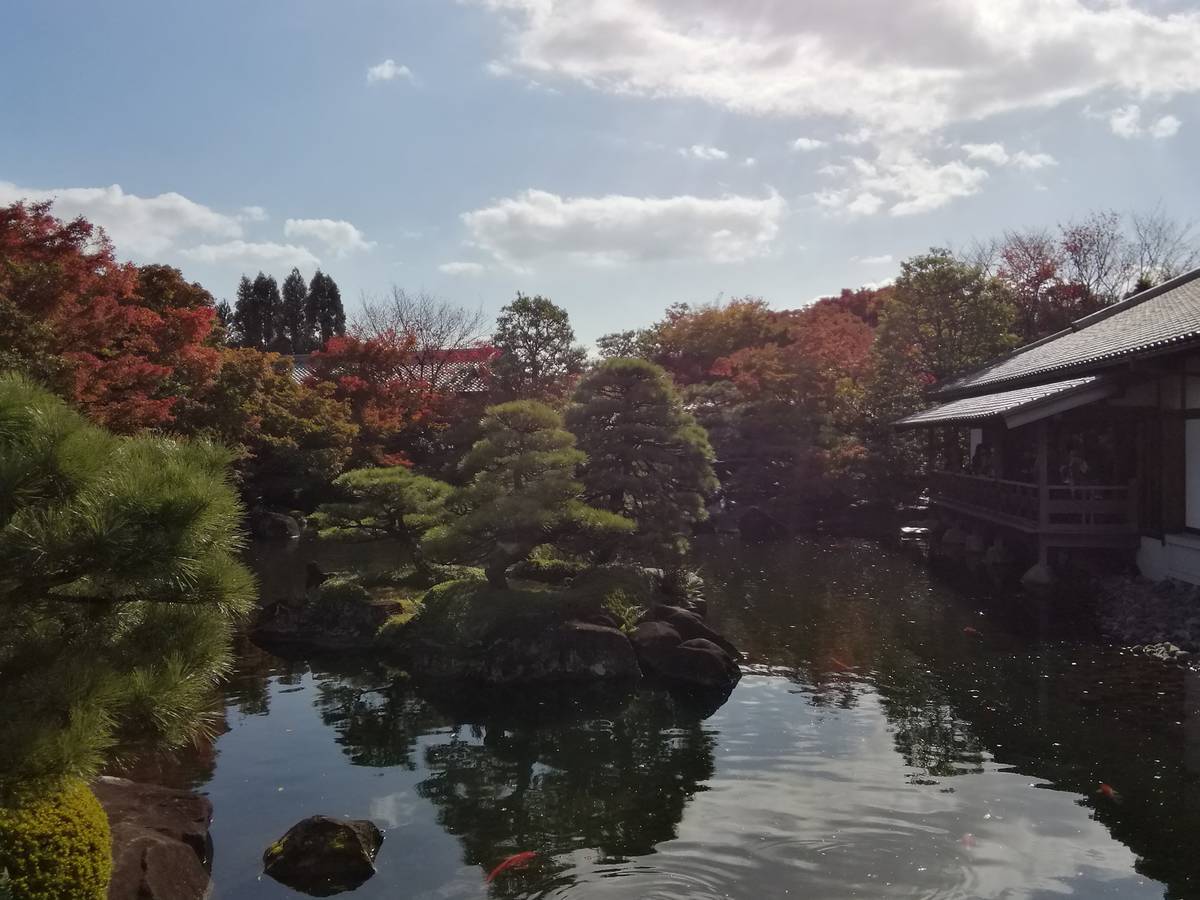 f:id:hoso-11-bishamonten:20191115102223j:plain