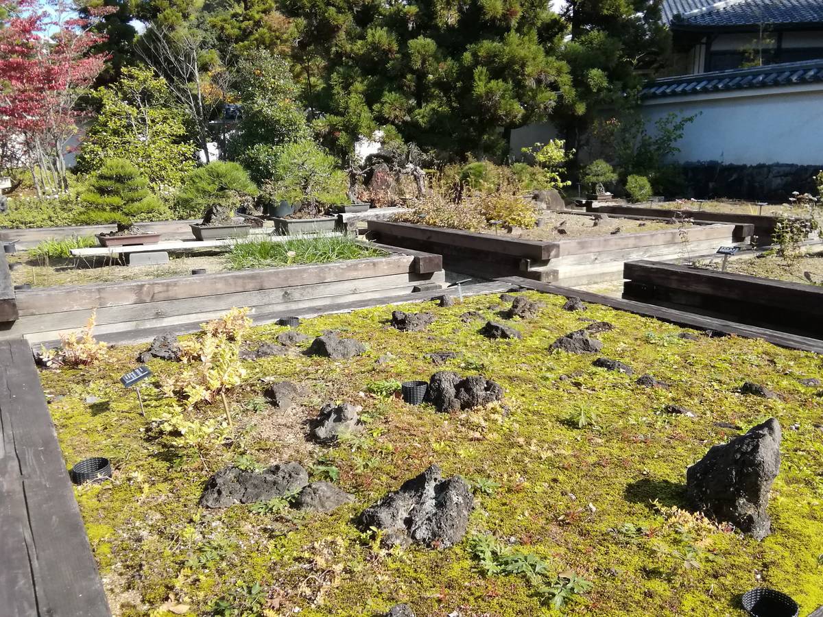 f:id:hoso-11-bishamonten:20191115122248j:plain