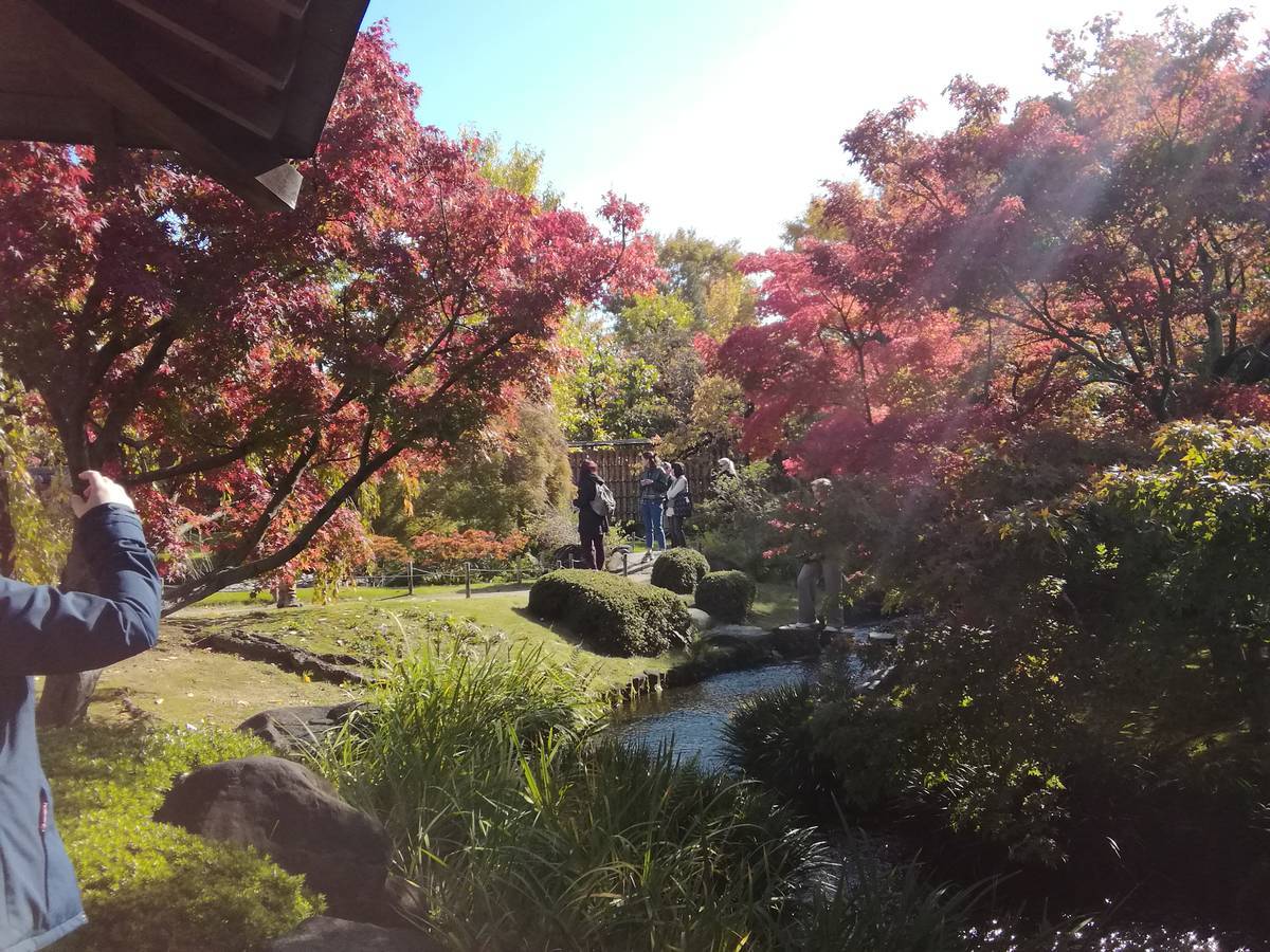f:id:hoso-11-bishamonten:20191116005611j:plain