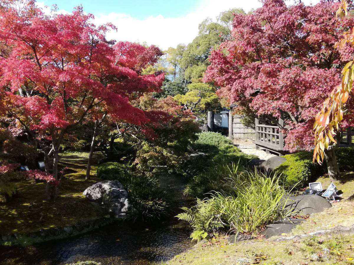 f:id:hoso-11-bishamonten:20191116010027j:plain