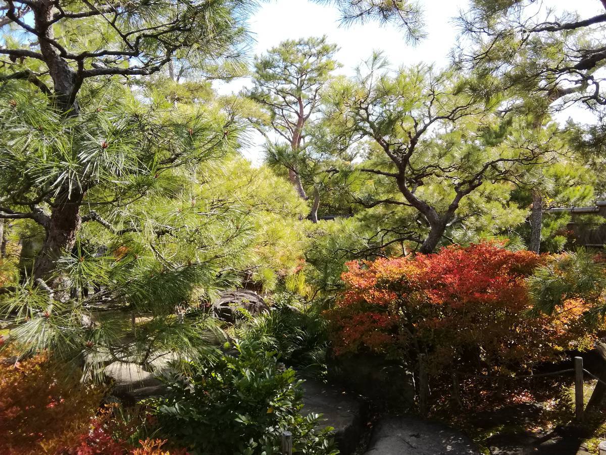 f:id:hoso-11-bishamonten:20191116010635j:plain