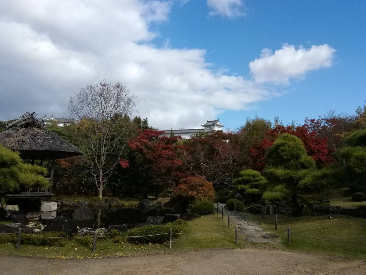 f:id:hoso-11-bishamonten:20191116011448j:plain