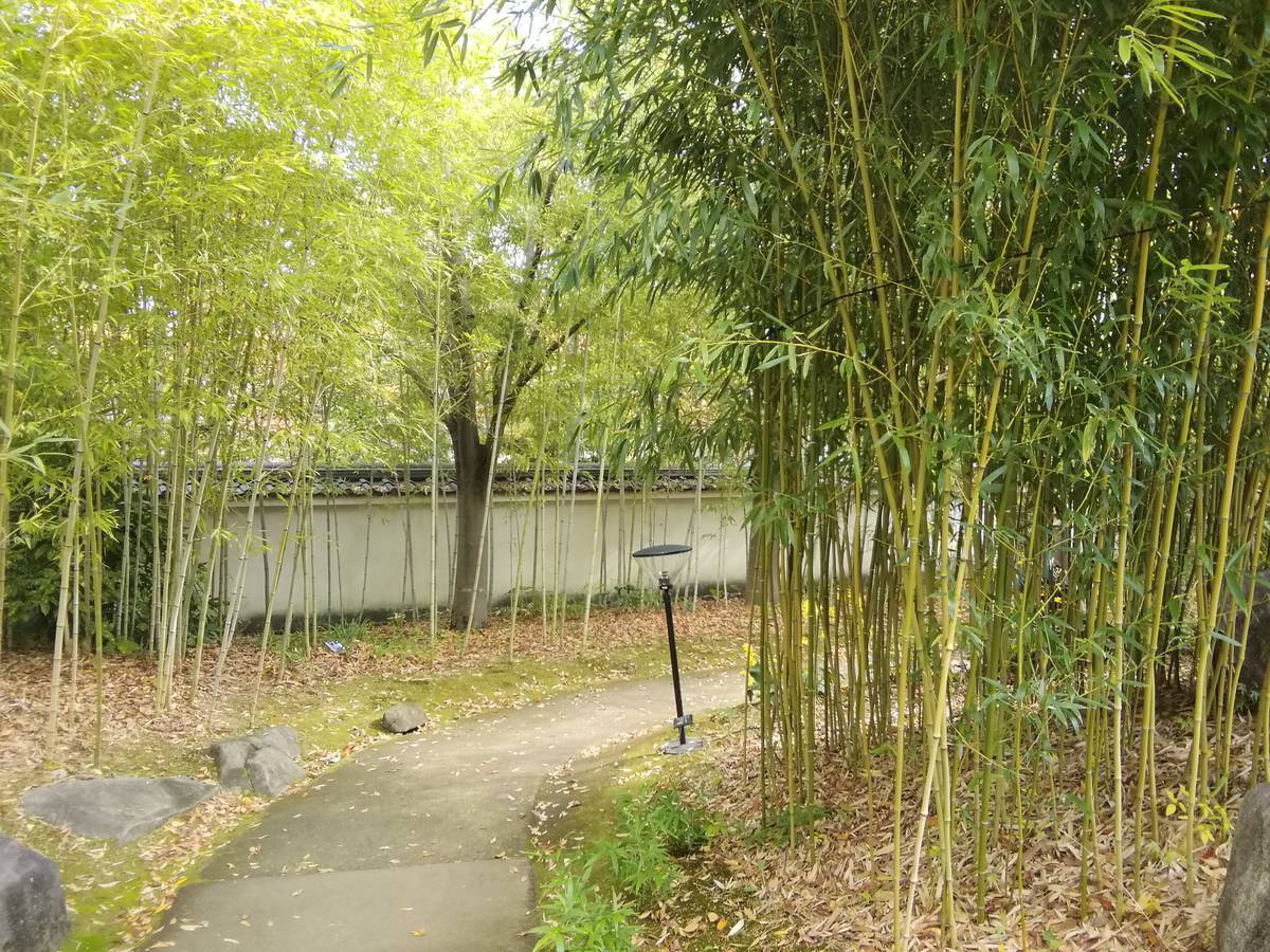 f:id:hoso-11-bishamonten:20191116011839j:plain