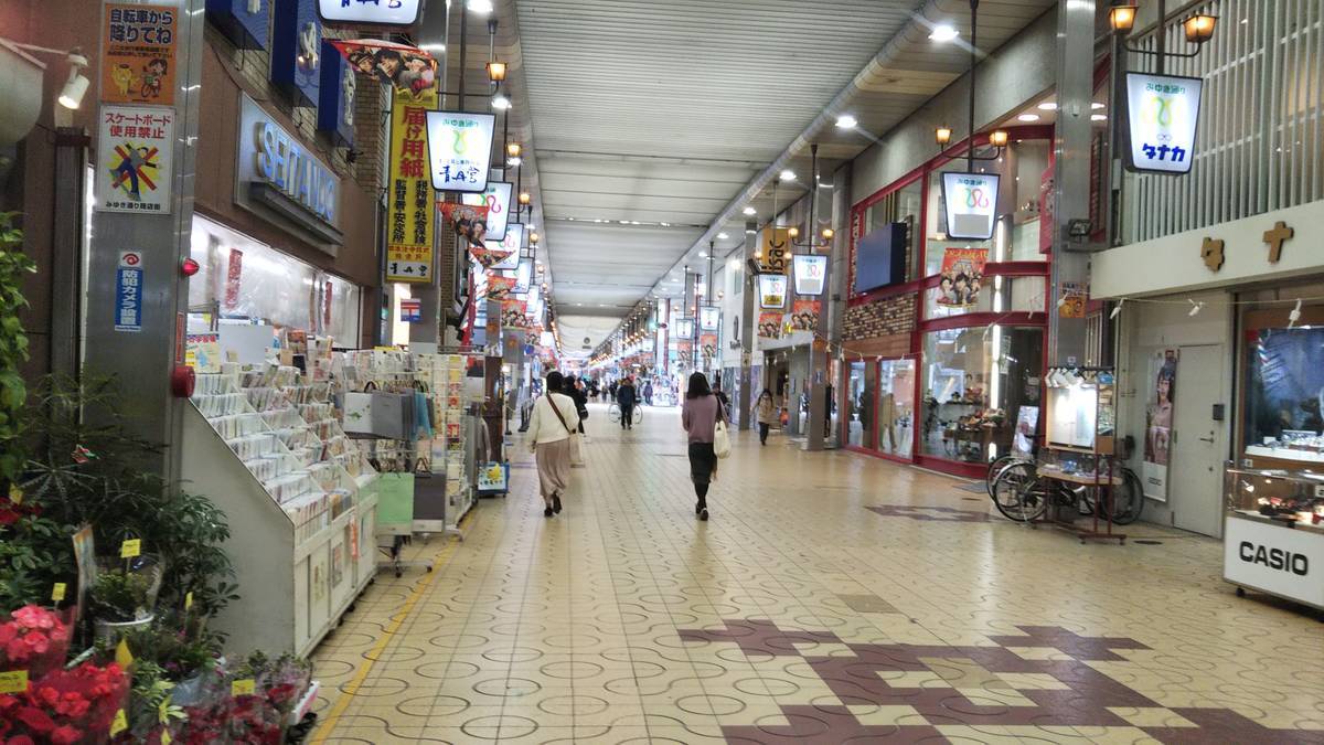 f:id:hoso-11-bishamonten:20191116085041j:plain