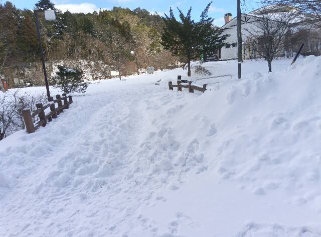 f:id:hoso-11-bishamonten:20250212212131j:image