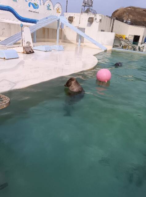 f:id:hoso-11-bishamonten:20250327080225j:image