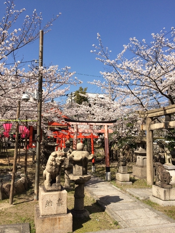 イメージ 4
