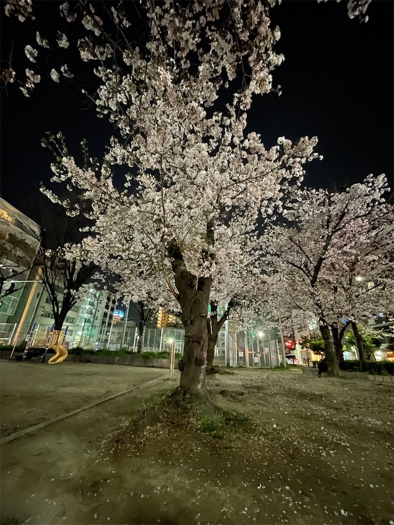 f:id:hostelq:20220413162110j:image
